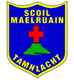 About Scoil Maelruain Junior