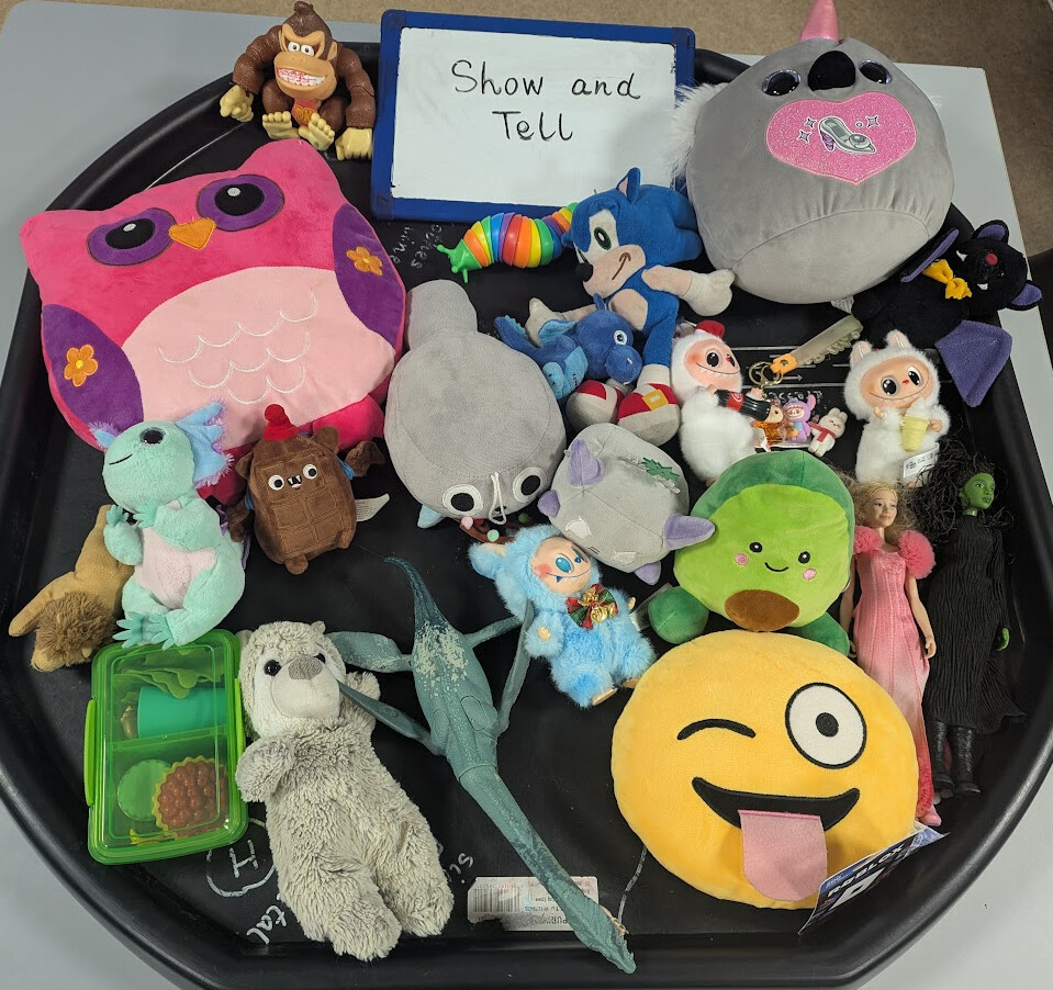 🧸 Show and Tell – Emotions Edition 😊😮🤩