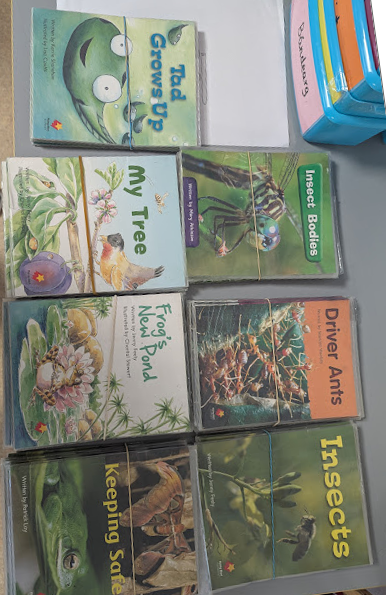 📚 Literacy Week – Reading and Exploring Nature