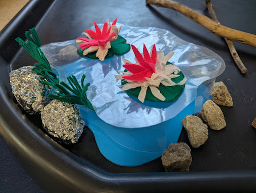 🔬 Science – Water Habitats and Our Class Pond