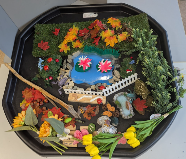 🐸 Science Investigation – The Life Cycle of a Frog