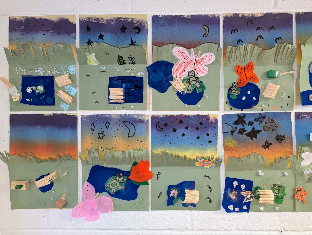 🎨 Creative Science & Art – Pond Habitats and Life Cycles 🐸🦋