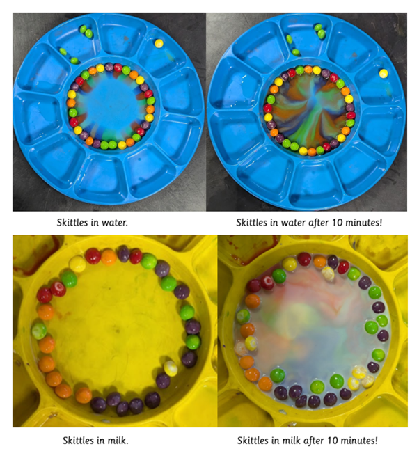 🔬 Science Week – Day 2: The Skittles Experiment 🌈